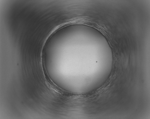 X0000072920100200607210916