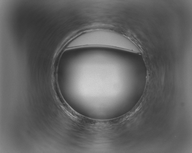 X0000072920101200607210916