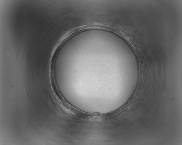 X0000072920102200607210916