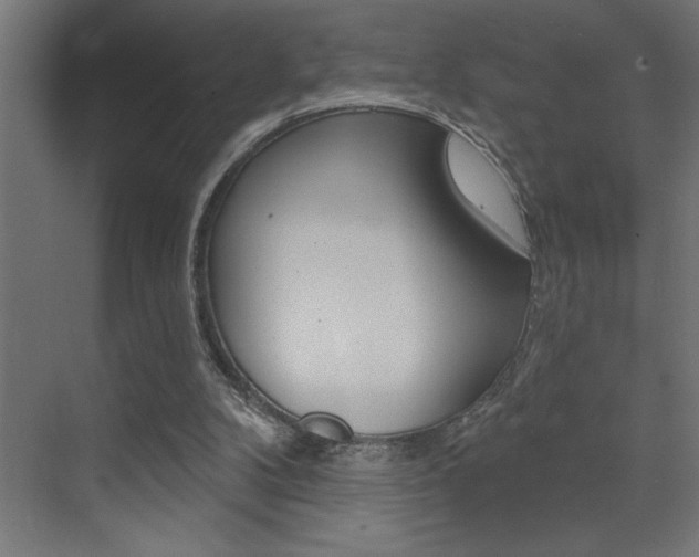 X0000072920104200607210916