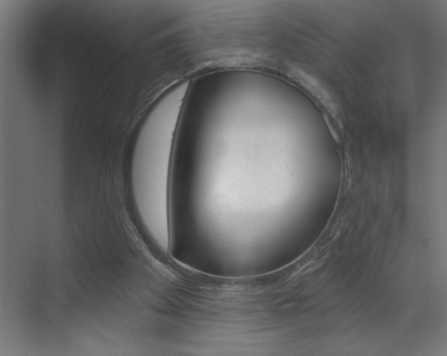 X0000072920105200607210916