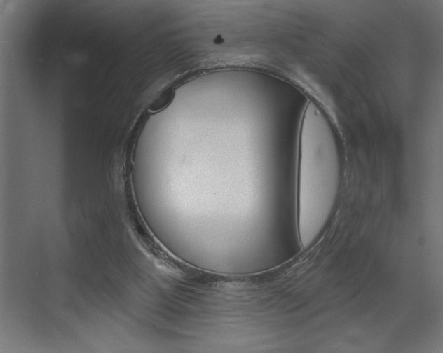 X0000072920107200607210916