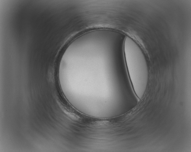 X0000072920108200607210916