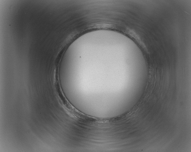X0000072920110200607210916