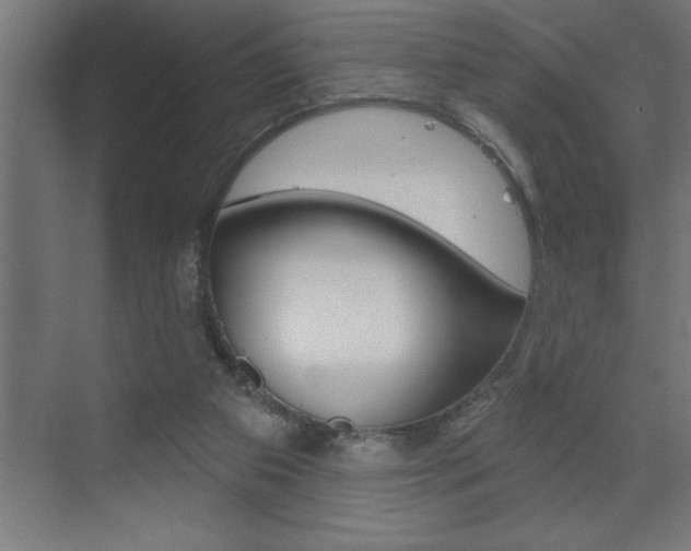 X0000072920113200607210916