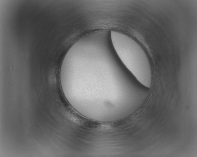X0000072920114200607210916