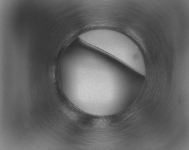 X0000072920115200607210916
