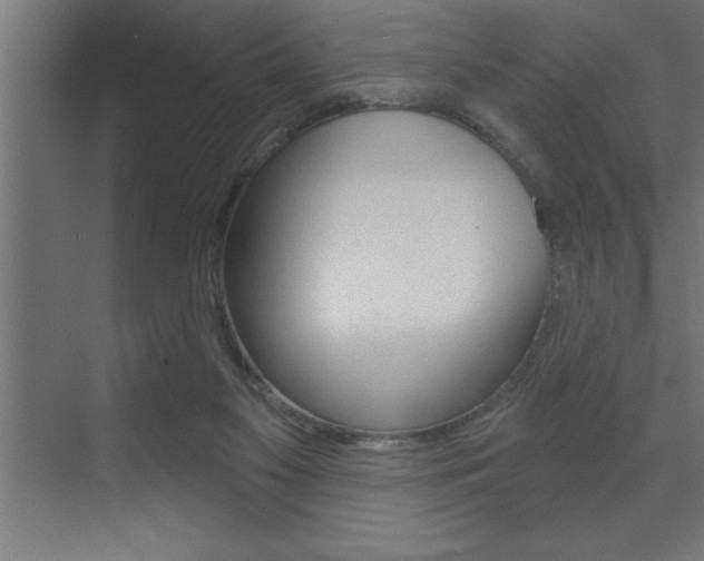 X0000072920117200607210916
