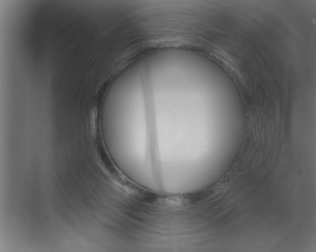 X0000072920118200607210916