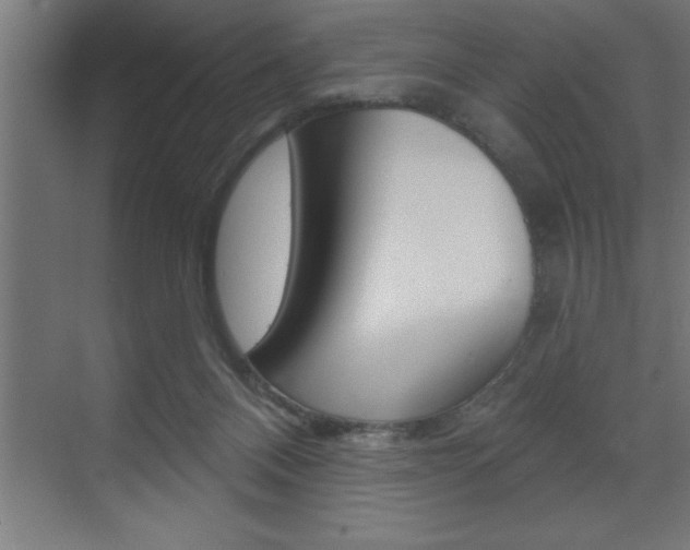 X0000072920120200607210916