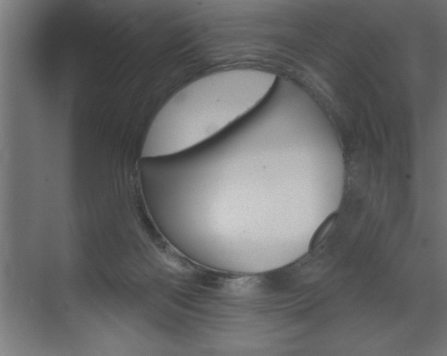 X0000072920122200607210916