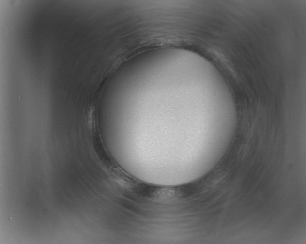 X0000072920123200607210916