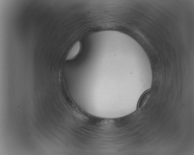 X0000072920124200607210916