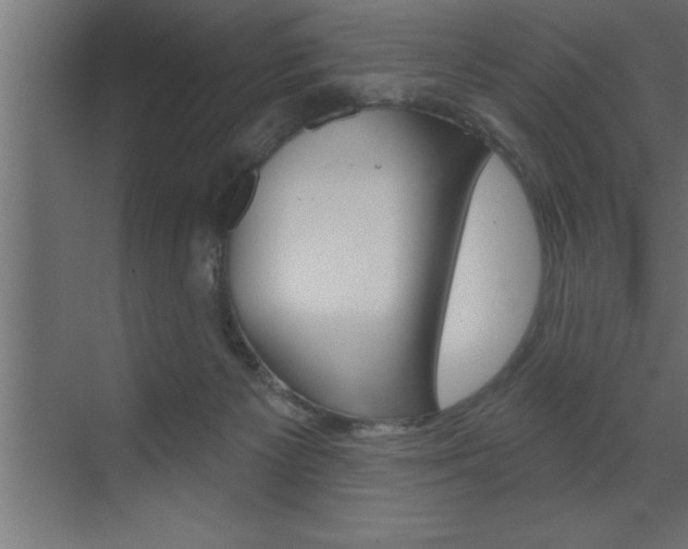 X0000072920125200607210916