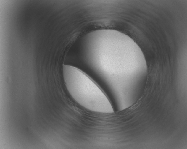 X0000072920132200607210916