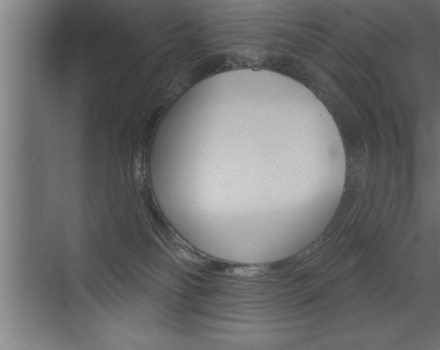 X0000072920134200607210916