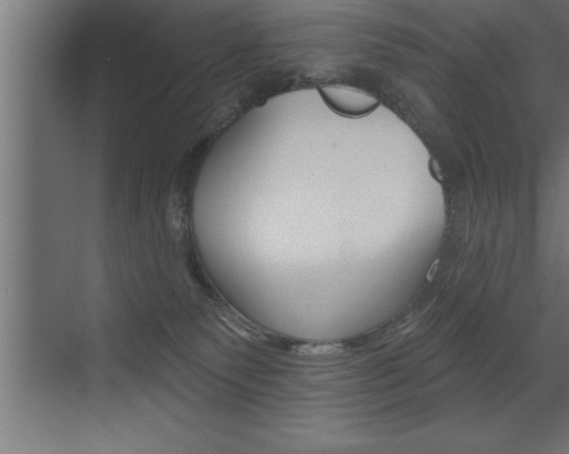 X0000072920135200607210916