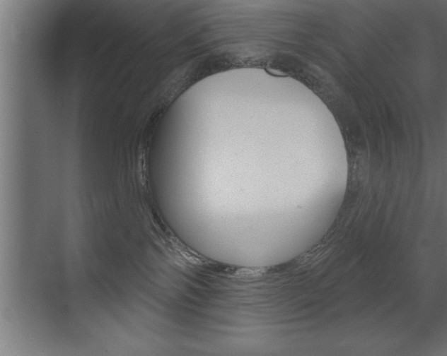 X0000072920138200607210916