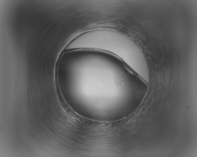 X0000072920148200607210915