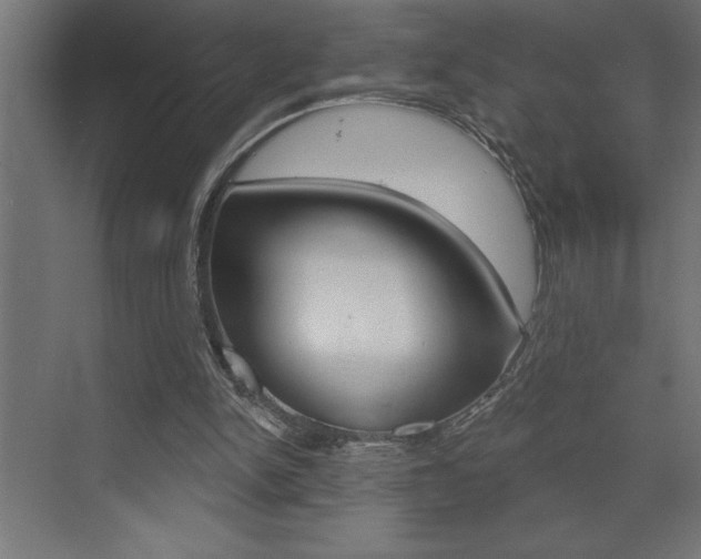 X0000072920150200607210915