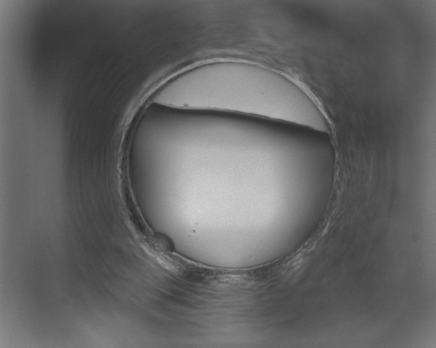 X0000072920151200607210915