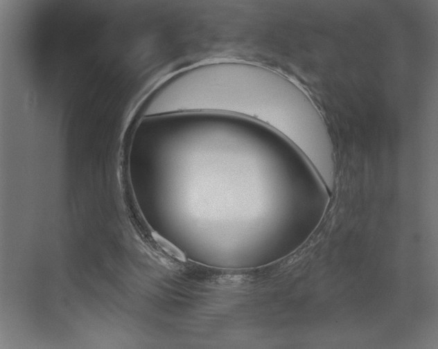 X0000072920152200607210915