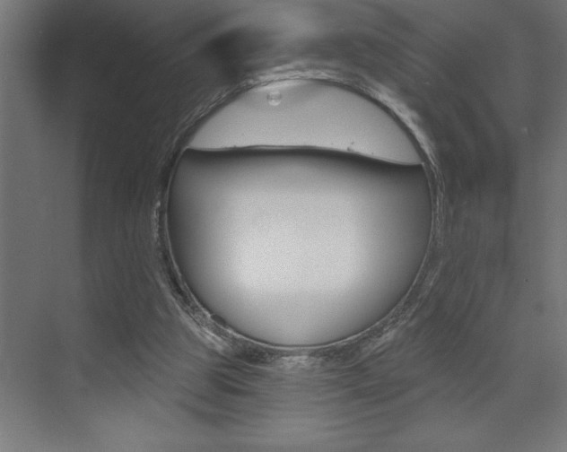 X0000072920153200607210915