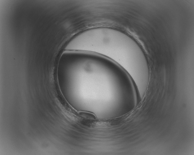 X0000072920154200607210915
