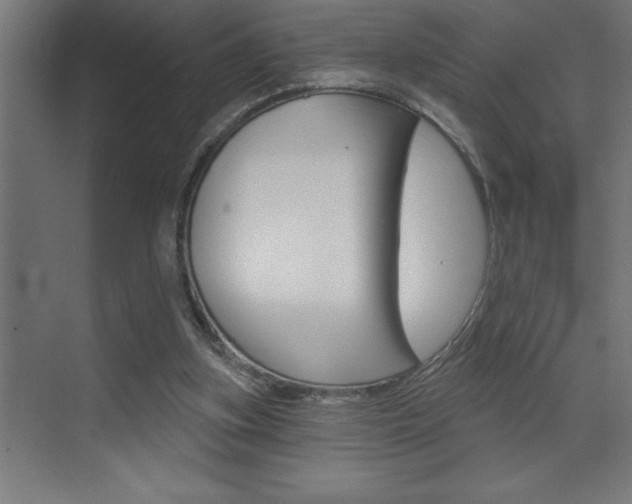 X0000072920155200607210915