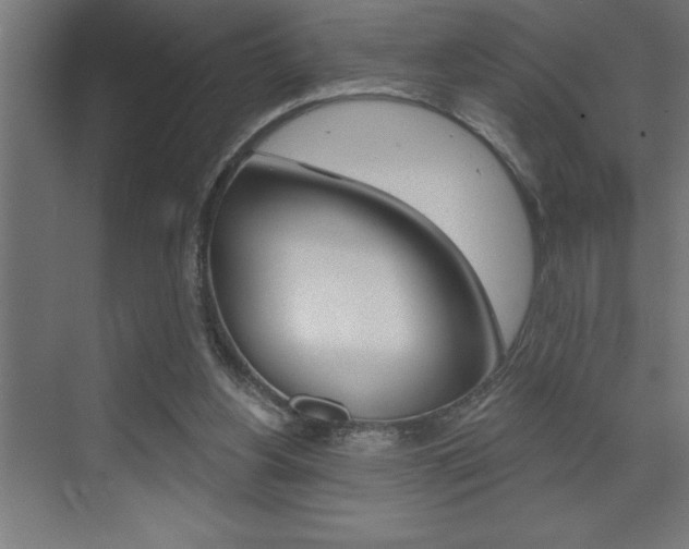 X0000072920156200607210915