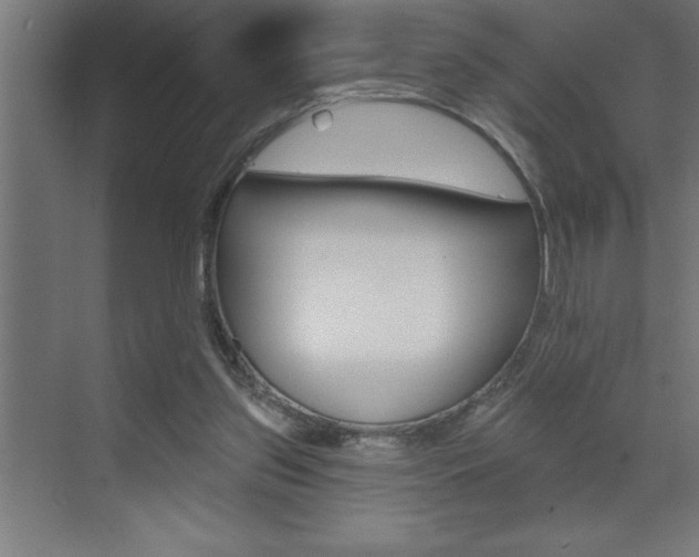 X0000072920157200607210915