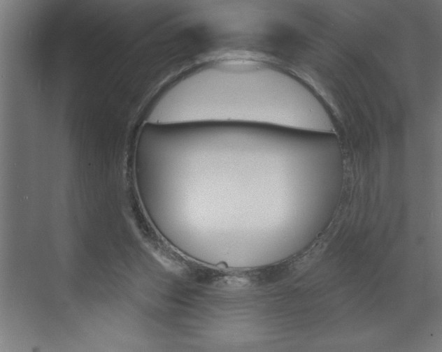 X0000072920159200607210915