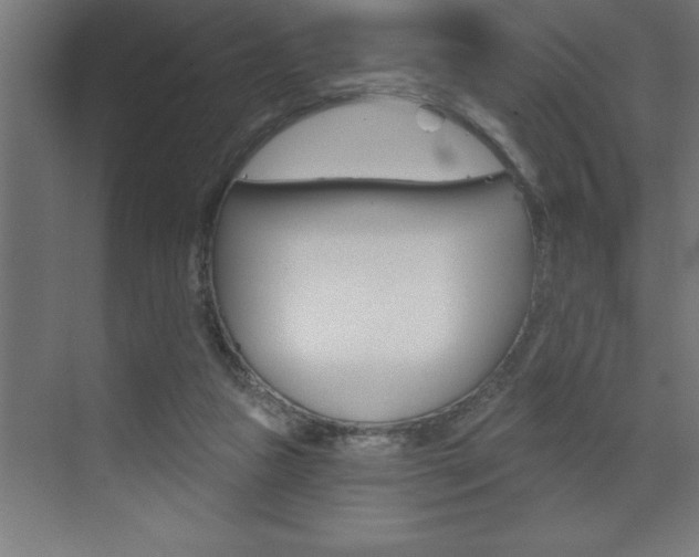 X0000072920161200607210915