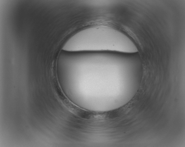 X0000072920163200607210915