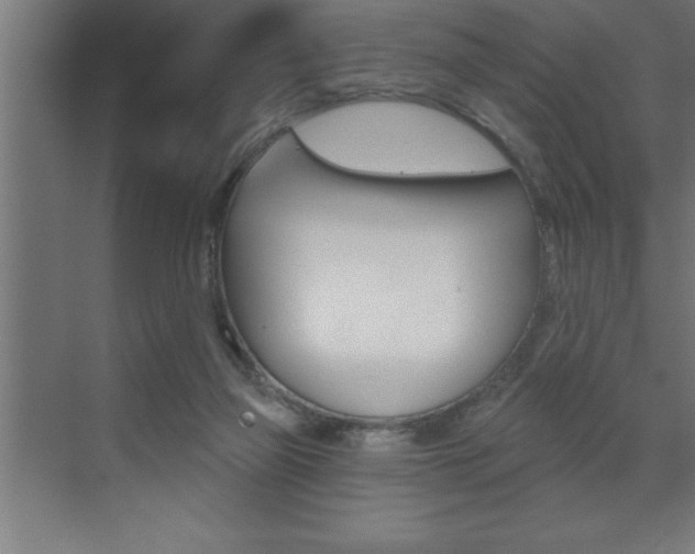 X0000072920165200607210915