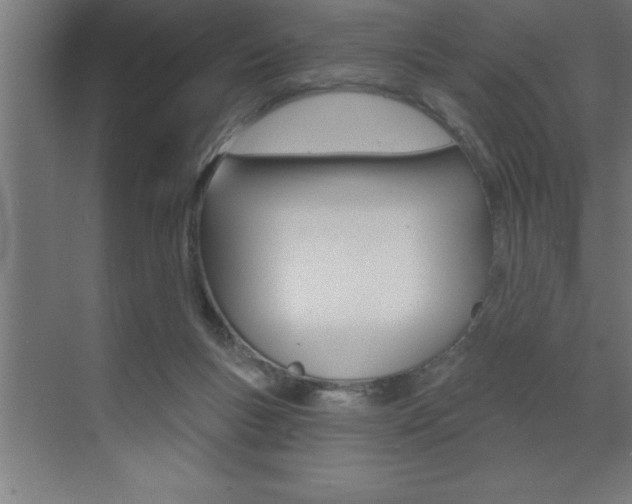 X0000072920167200607210915