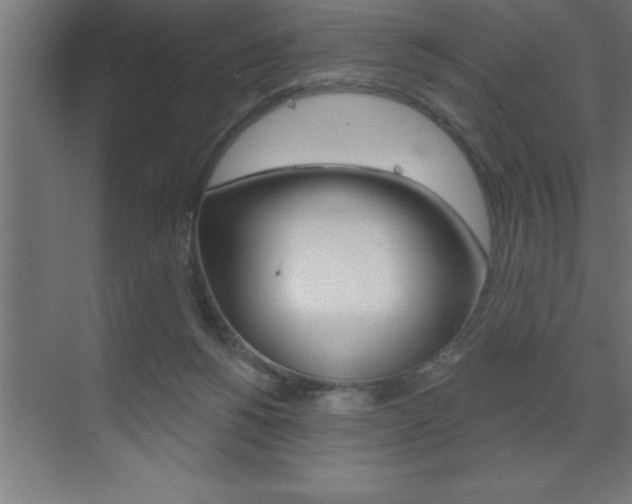 X0000072920168200607210915