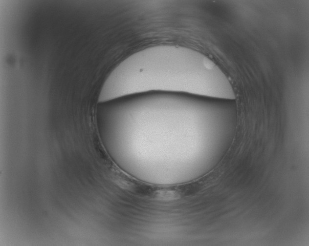 X0000072920169200607210915