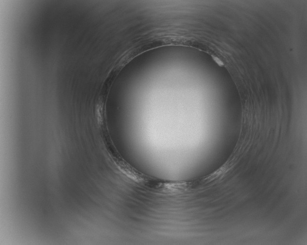 X0000072920188200607210916