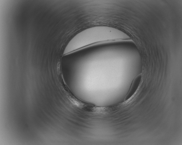 X0000072920192200607210916