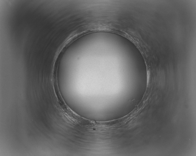 X0000072920195200607210915