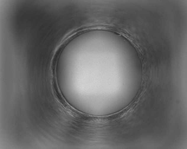 X0000072920198200607210915