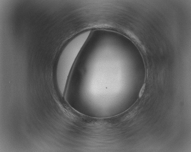X0000072920201200607210915