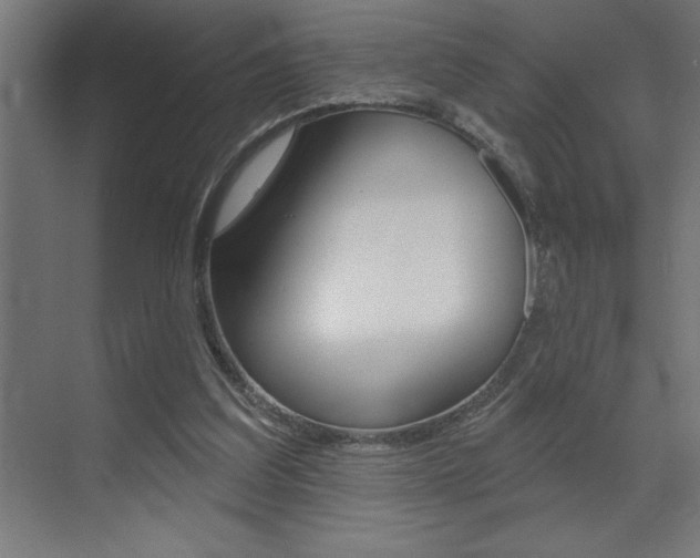 X0000072920203200607210915