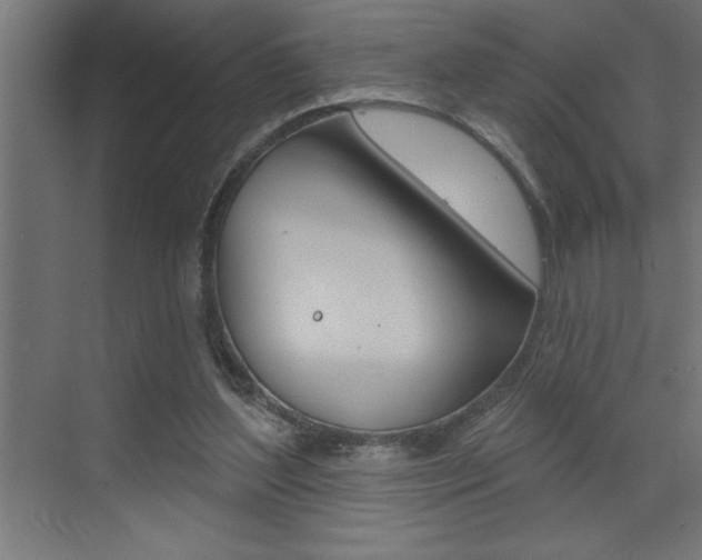 X0000072920204200607210915