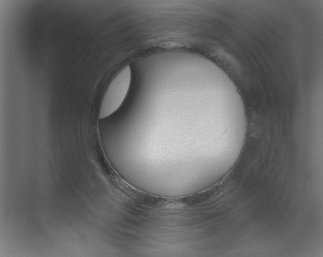 X0000072920210200607210915