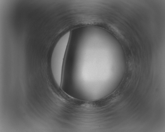 X0000072920211200607210915