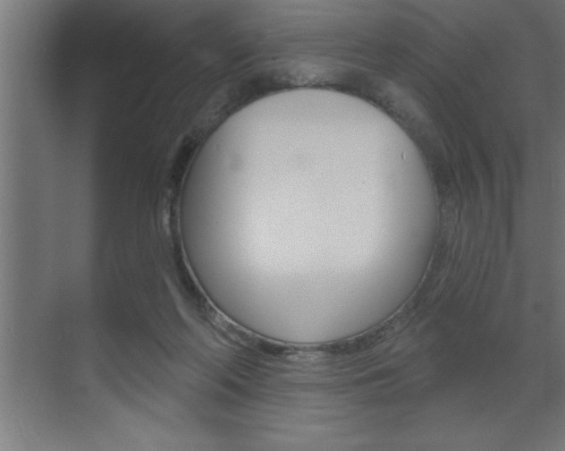 X0000072920214200607210914