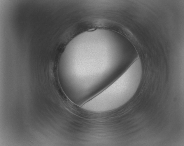 X0000072920217200607210914