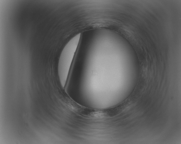 X0000072920219200607210914